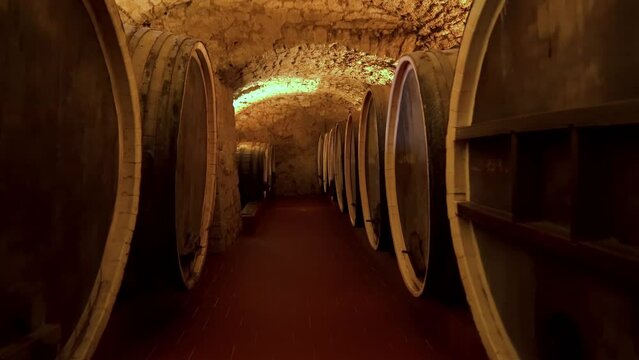 Wine Culture Center Shabo. Shabo plant in Odessa region. Aging of wine in oak barrels in the cellar. Modern technologies of wine production. Grape processing