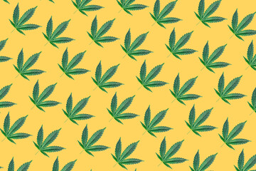 Pattern with Cannabis or hemp leafs on yellow background