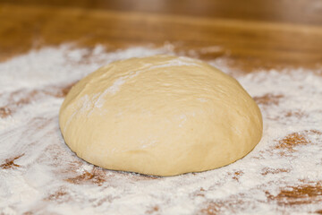 Homemade raw yeast dough after raising ready to bake. Close up