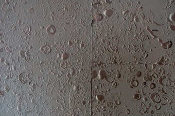 Wall tile sea shell abstract texture.