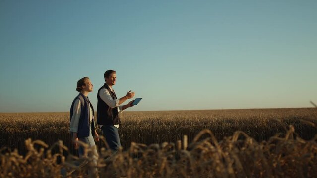 Two farmers inspecting wheat harvest in golden sunlight. Rural landscape view.