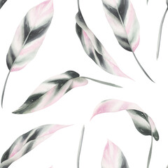 Watercolor seamless pattern with pink-green ficus leaves.