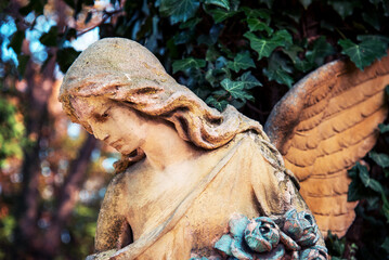 Positive, affirming image with an angel figure in sunlight. A symbol of hope, comfort, compassion...
