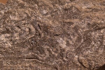 Magnetite in ferruginous quartz. Close-up of a mineral. Paleontological background, texture