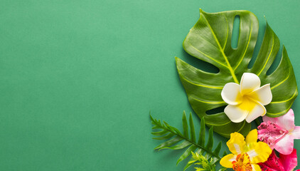 Exotic tropical summer background. Summer beach party concept.  Tropical leaves monstera and orchid flowers on green background. Flat lay, copy space.