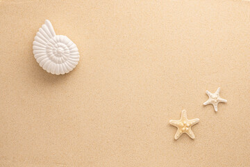 Fototapeta na wymiar Summer sea concept. Starfishes and snail shell on sand. Top view. Copy space.