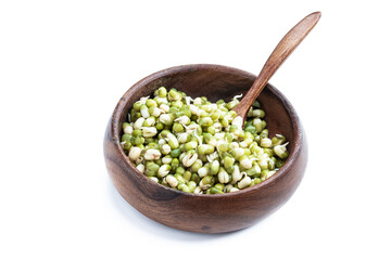 Sprouted mung beans in wooden bowl isolated on white