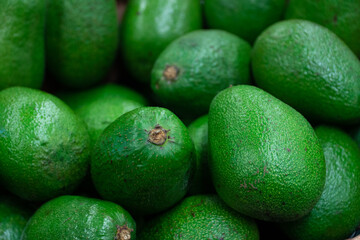 avocado. Close-up of raw green avocados 