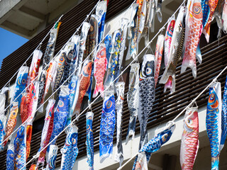 Group of carp streamers