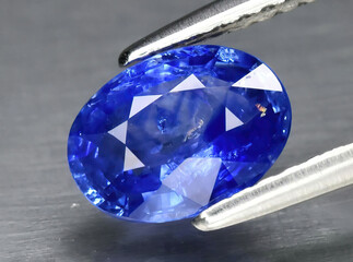 Natural gemstone blue sapphire in tweezers on a gray background