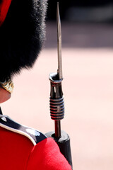 Close up of a Guardsman London England