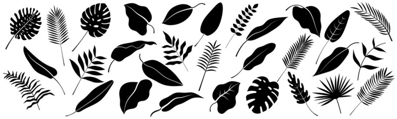 Isolated elements, tropical leaves, silhouettes, vector