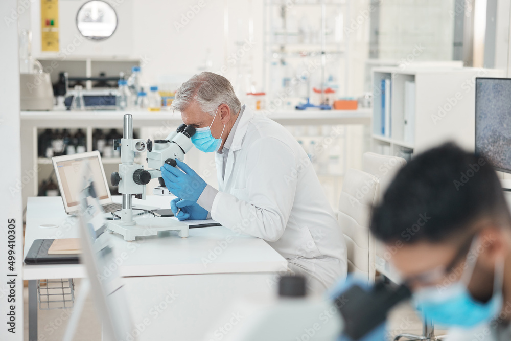 Poster Lets see whats happening here. Shot of a mature scientist using a microscope in a lab.