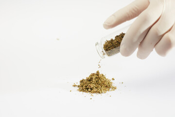 pile of marijuana, gloved hands and glass pot, white background