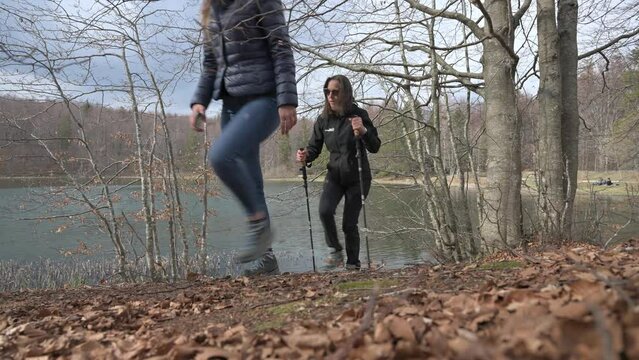 Escursione nel bosco 