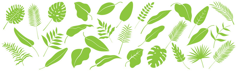 Isolated elements, tropical leaves, silhouettes, vector, green