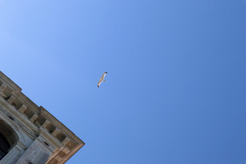 sky over the roof