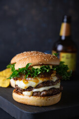 Big hamburger with cheese and green salad