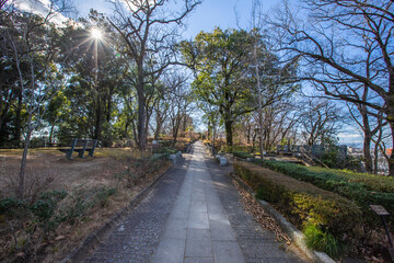 栃木県佐野市　城山公園の風景