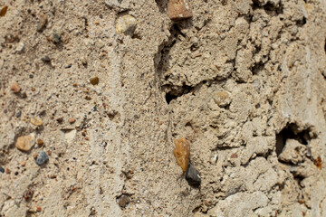 Texture of sand background close up, selective focus, copy space.