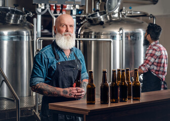 Tattooed old man with apron around table with beer in brewery with metallic barrels.