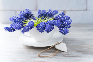Blue spring flowers of muscari in the cup with saucer and decorative small heart on the light background