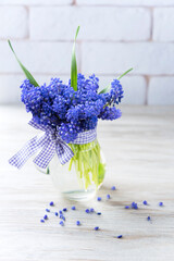 Tiny flowers of blue muscari in a transparent jug tied with a ribbon around on the light background. Vertical photo
