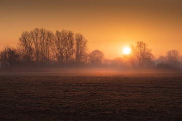 Fototapeta na wymiar Złoty wschód słońca nad łąką