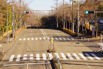 歩道橋から見た青信号と横断歩道