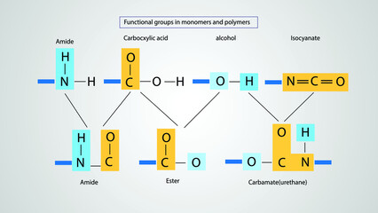 Functional groups in monomers and polymers