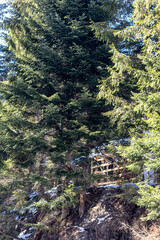 Nature of Western Ukraine. Mountains, rivers and forests. Shelter for war refugees. Departure from the occupied territories. War in Ukraine.