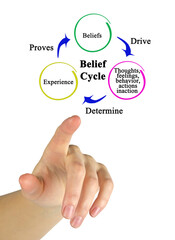 Three Components of Belief Cycle