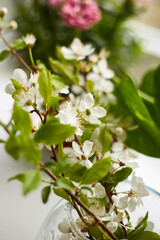 White flowering twigs in vase by the window. Spring concept