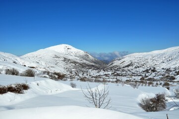 Hill station known as 'Bozdağ' in Ödemiş, İzmir, Turkey. Winter mountain landscape with dry trees around.