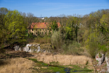 Naturrschutzgebiet Kalkberggrund Lüneburg Frühling