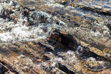 Nature of Western Ukraine. Mountains, rivers and forests. Shelter for war refugees. Departure from the occupied territories. War in Ukraine.