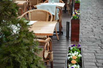 Fototapeta na wymiar Furniture for street restaurants. Hedge of living plants close-up