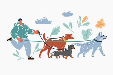 Vector illustration of Professional dog walker or pet sitter walking a pack of cute different breed dogs