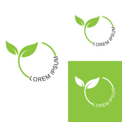 Green leaf logo. Garden, plants and nature vector design. Concept illustration vector template