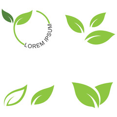Green leaf logo. Garden, plants and nature vector design. Concept illustration vector template