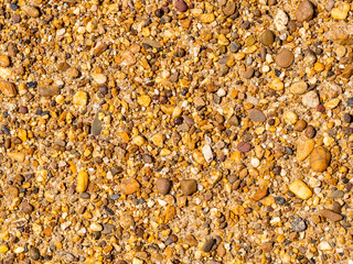 Multi-colored pebbles on the beach. Pebble background. Pebble texture