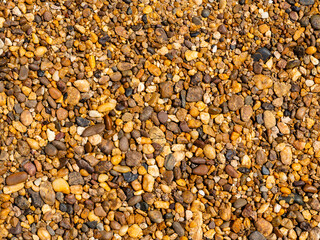 Multi-colored pebbles on the beach. Pebble background. Pebble texture