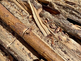 Nahaufnahme von Holz mit Holzspäne