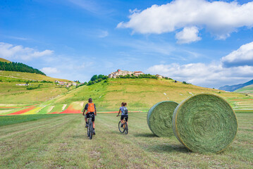 Couple cycling mtb in blooming cultivated fields of Castelluccio di Norcia highlands, famous...