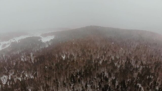 drone flying over snowy beech forest in winter while snowing