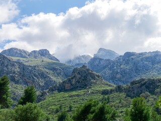 Fototapeta na wymiar Mallorca's rocky Landscape (Tramuntana)