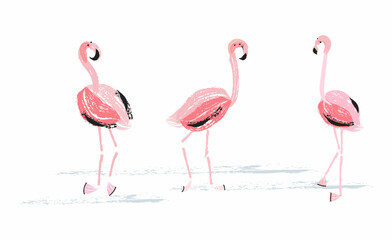 flamingo pink vector illustration set