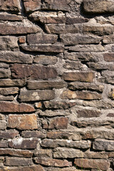 Brick Stone Texture with Grass, Flowers and Dandelion (Castle)
