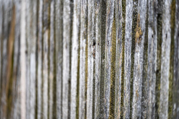 Obraz premium Close up of old boards.