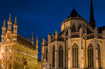 Fototapeta premium Leuven night cityscape, Belgium